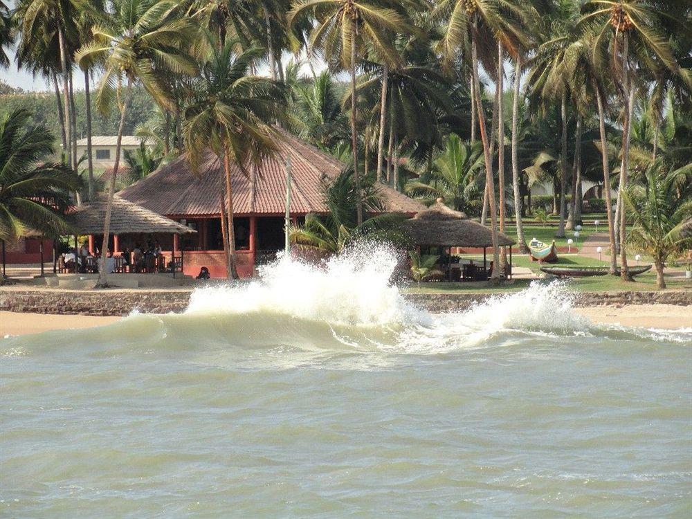 椰林海滩度假村 Elmina 外观 照片