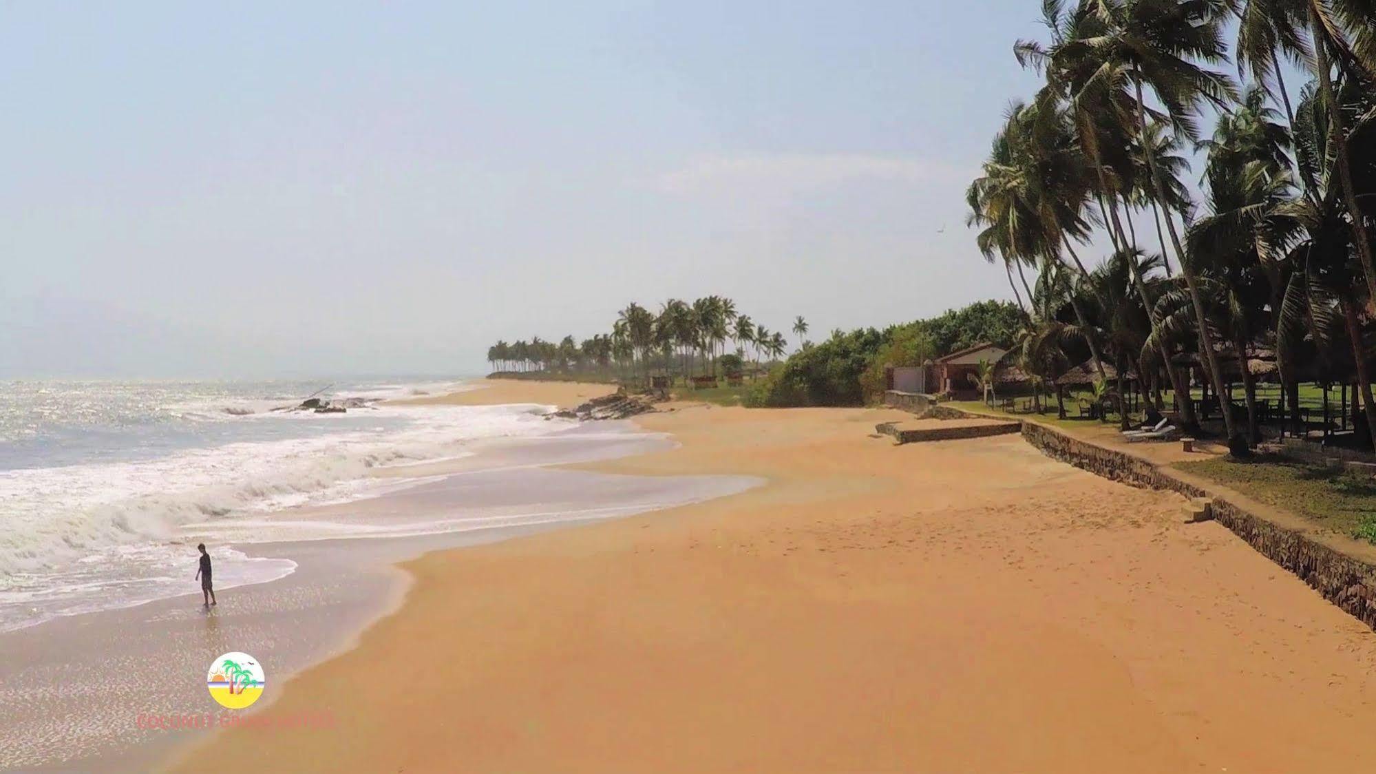 椰林海滩度假村 Elmina 外观 照片