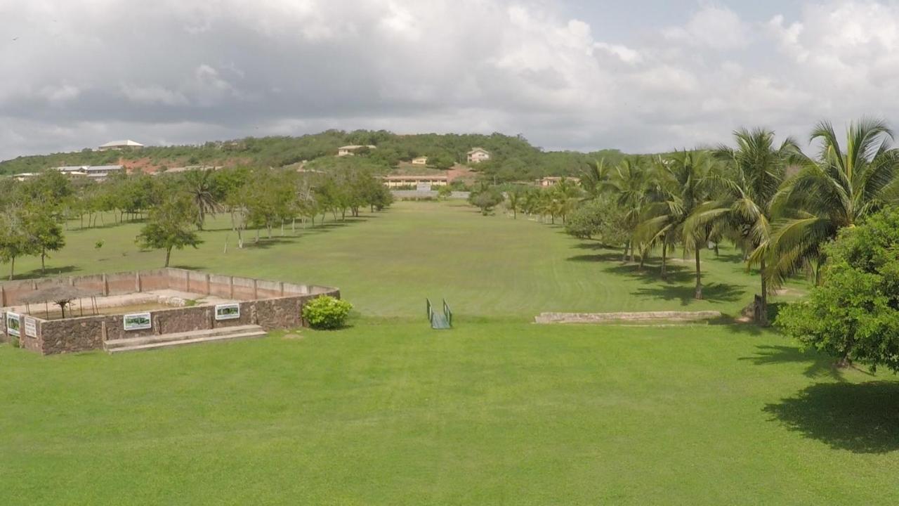 椰林海滩度假村 Elmina 外观 照片